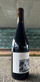 2023 Saumur-Champigny Villeneuve