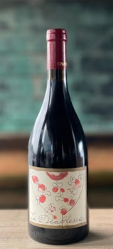 2023 Chinon Rouge 'La Diablesse'