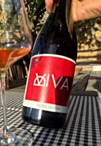 2023 VIVA Blanc TH26